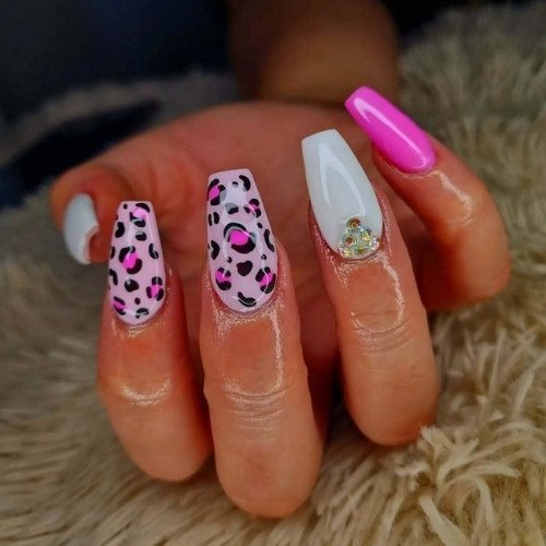 Neon Safari