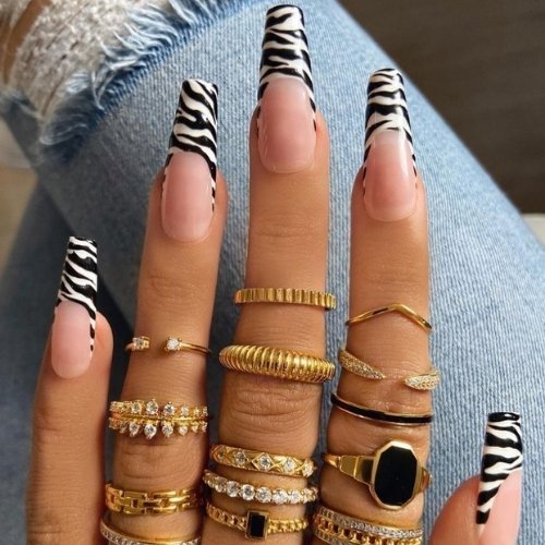 Zebra Tip