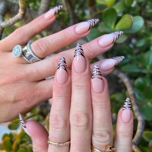 Tiger Stripe
