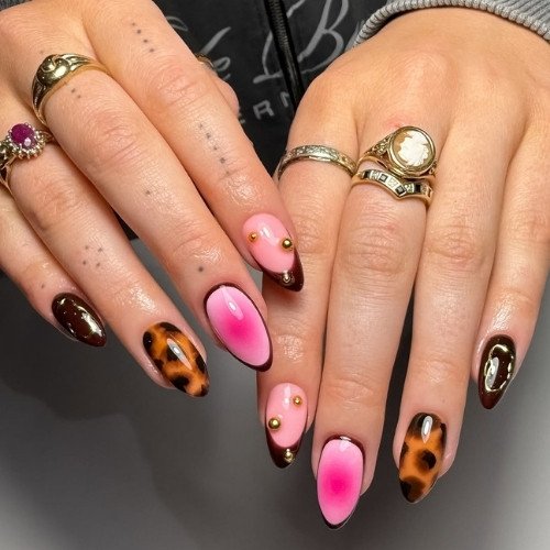 Tortoise and Pink