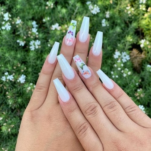 Butterfly Accents