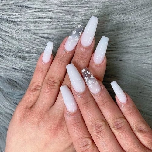 Butterfly Accent
