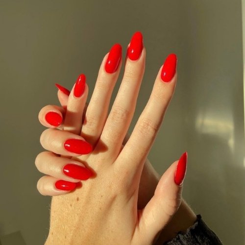 Sunlit Scarlet