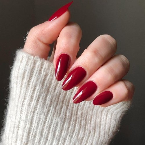 Deep Wine Red Nails with a Glossy Finish.