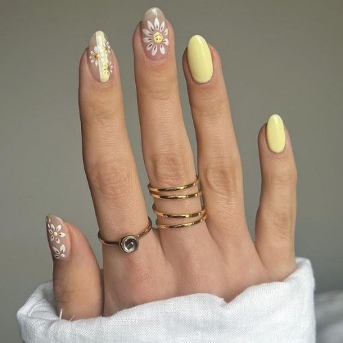 Butter Daisy Delight