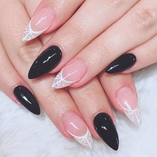 Chic Webbed