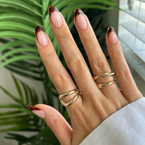Tortoise Shell French Chic